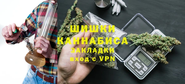 PSILOCYBIN Балабаново